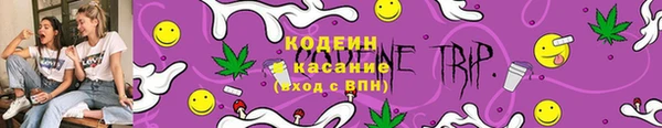 сатива Арсеньев
