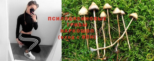 ECSTASY Армянск