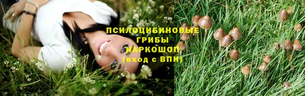 мяу мяу мука Аркадак