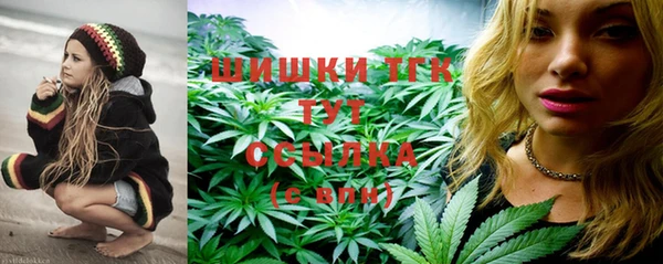 мяу мяу мука Аркадак