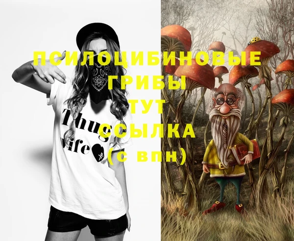 сатива Арсеньев