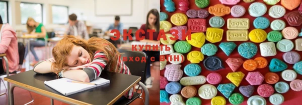 ECSTASY Армянск