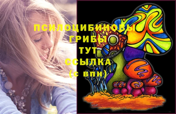 сатива Арсеньев