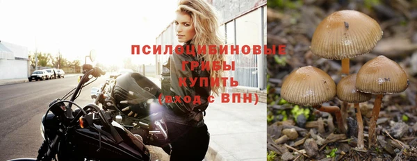 мяу мяу мука Аркадак