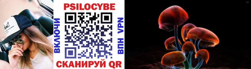 мориарти клад  Усть-Катав  Галлюциногенные грибы мицелий 